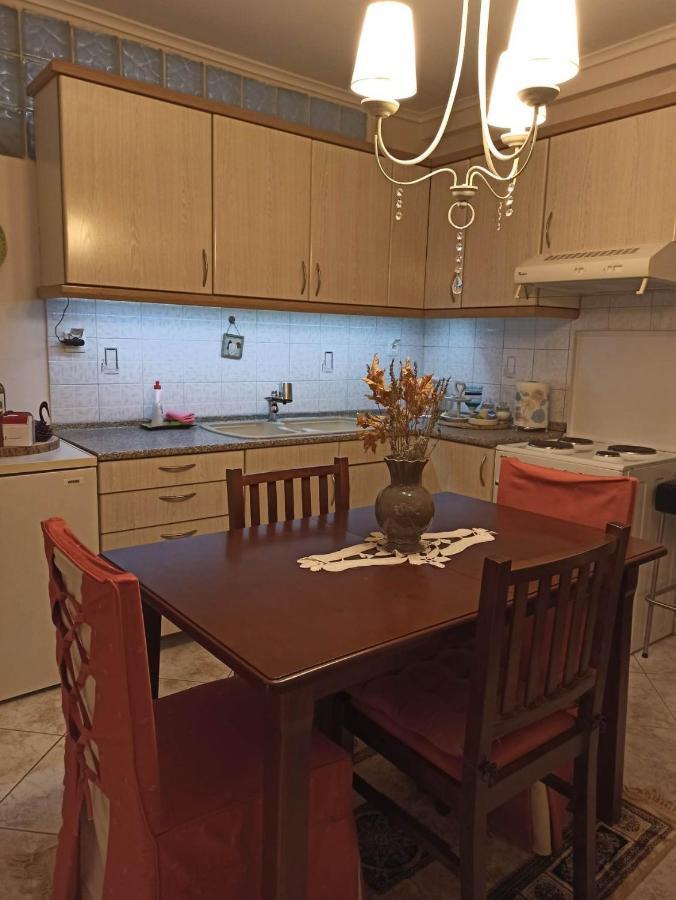 Apartment Vasiliki *